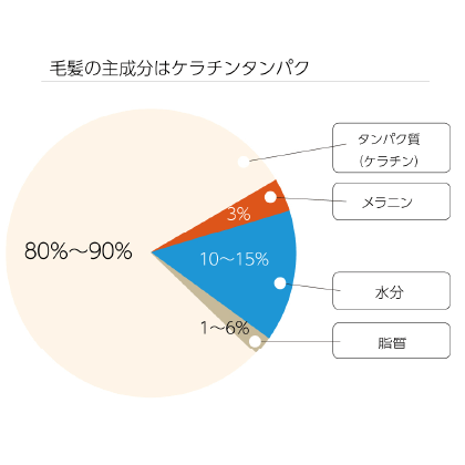 数種類の活性ケラチン